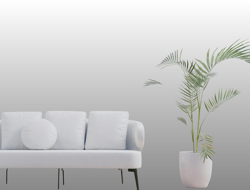 Sofa / Carpet Cleaning